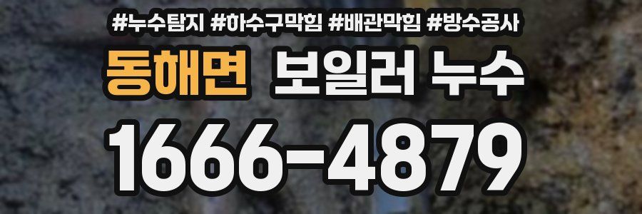 동해면 보일러 누수
