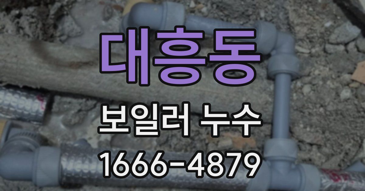 대흥동 보일러 누수