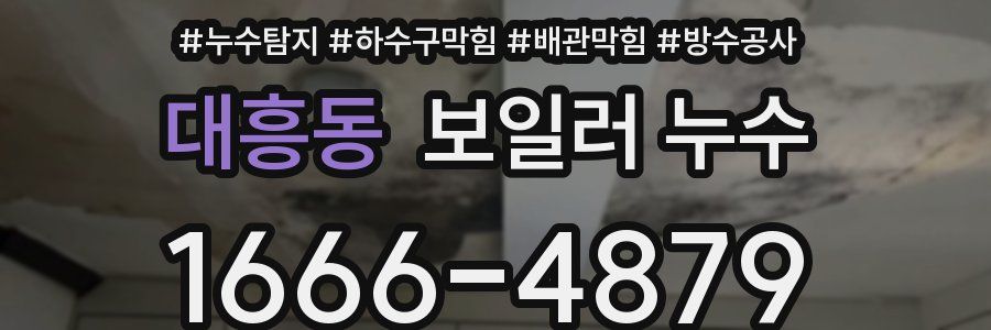대흥동 보일러 누수