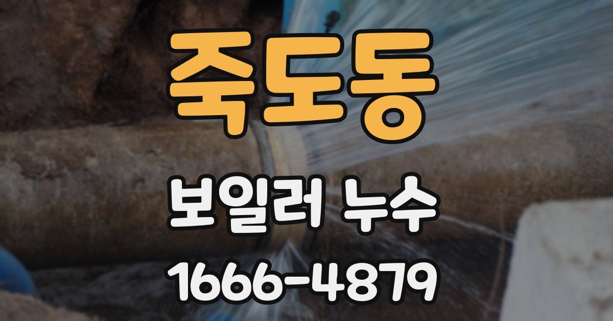 죽도동 보일러 누수