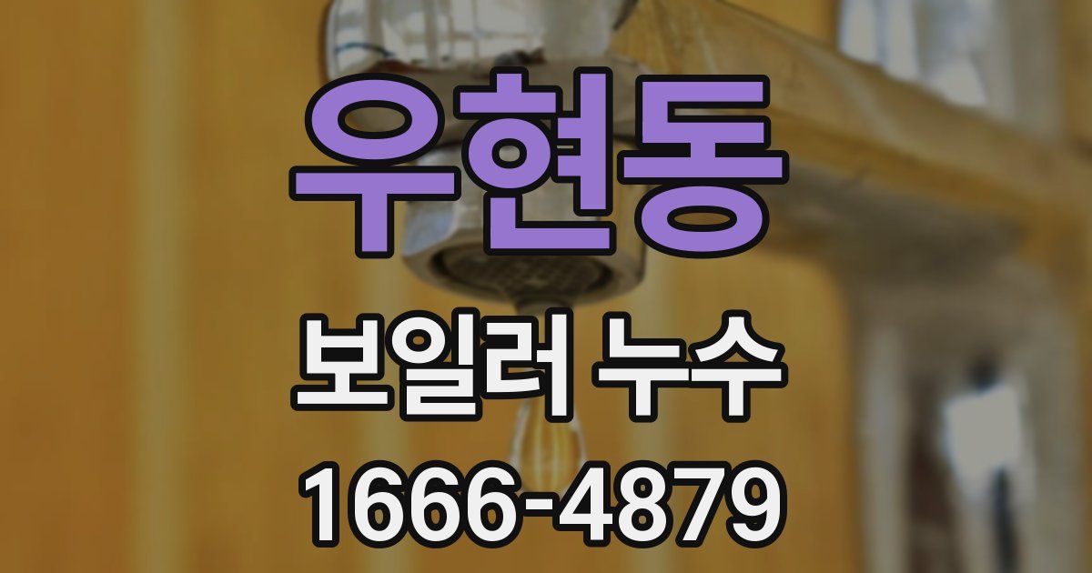 우현동 보일러 누수