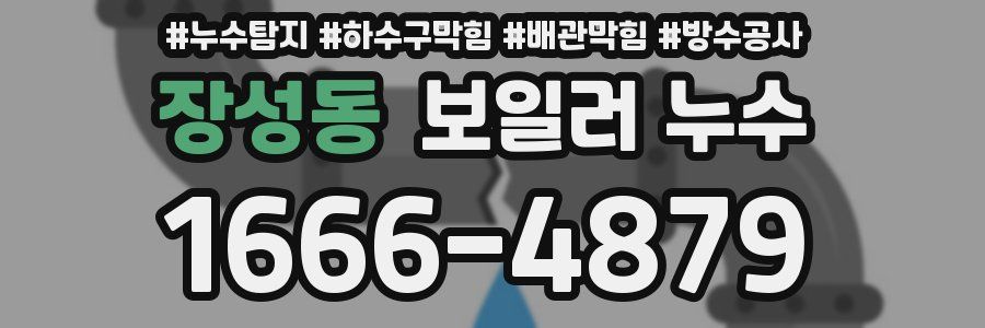 장성동 보일러 누수