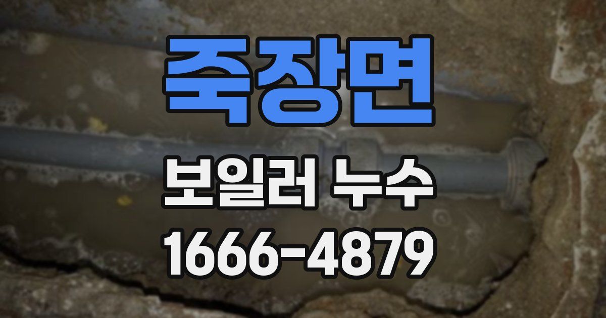 죽장면 보일러 누수
