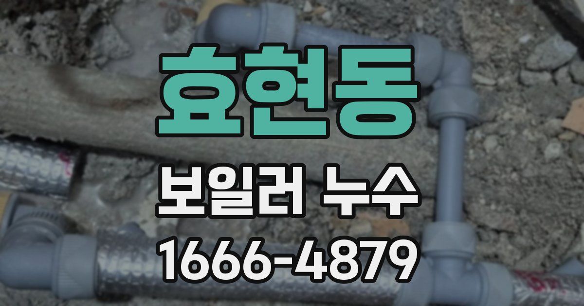 효현동 보일러 누수