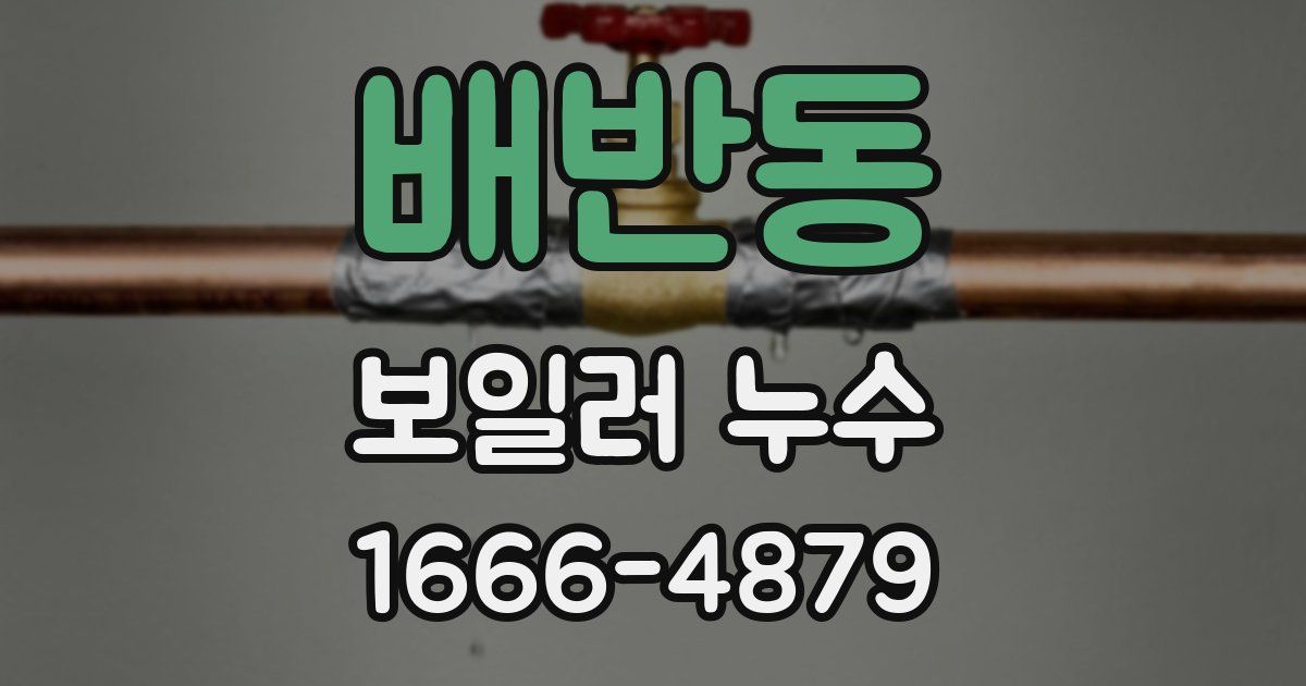 배반동 보일러 누수