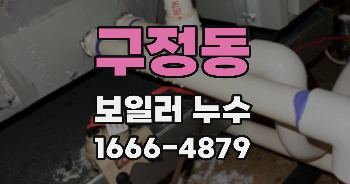 구정동 보일러 누수