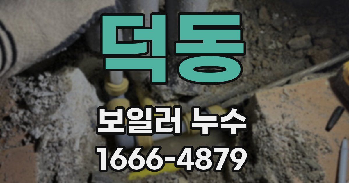 덕동 보일러 누수