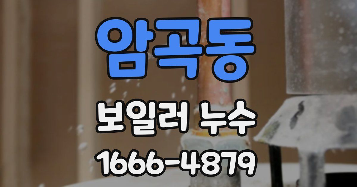 암곡동 보일러 누수