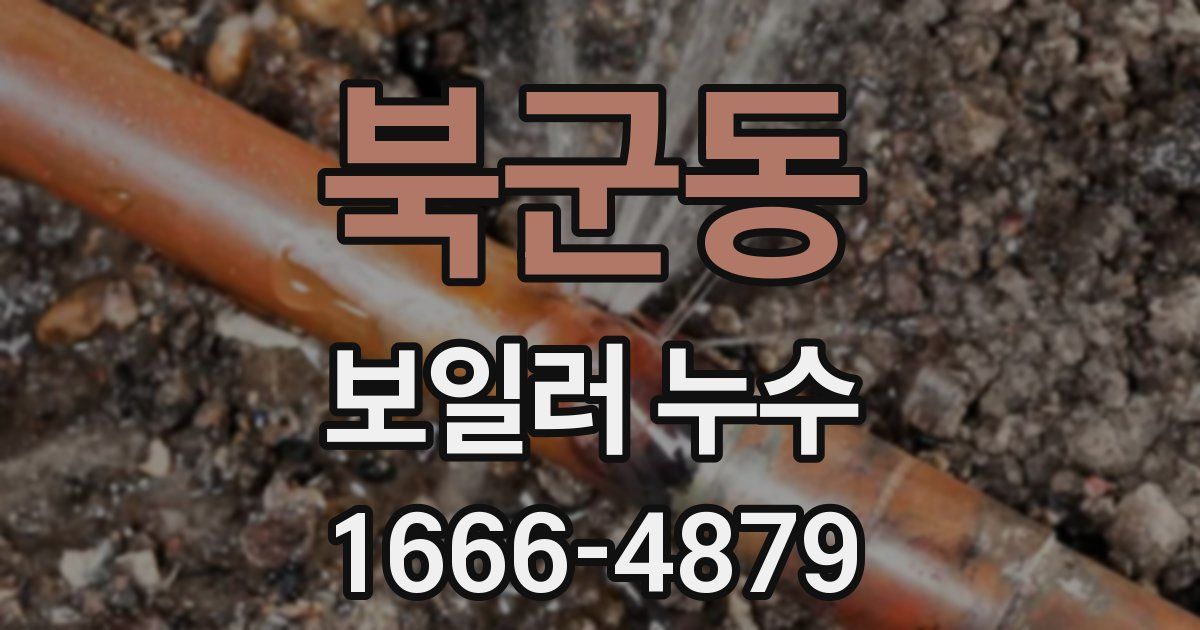 북군동 보일러 누수