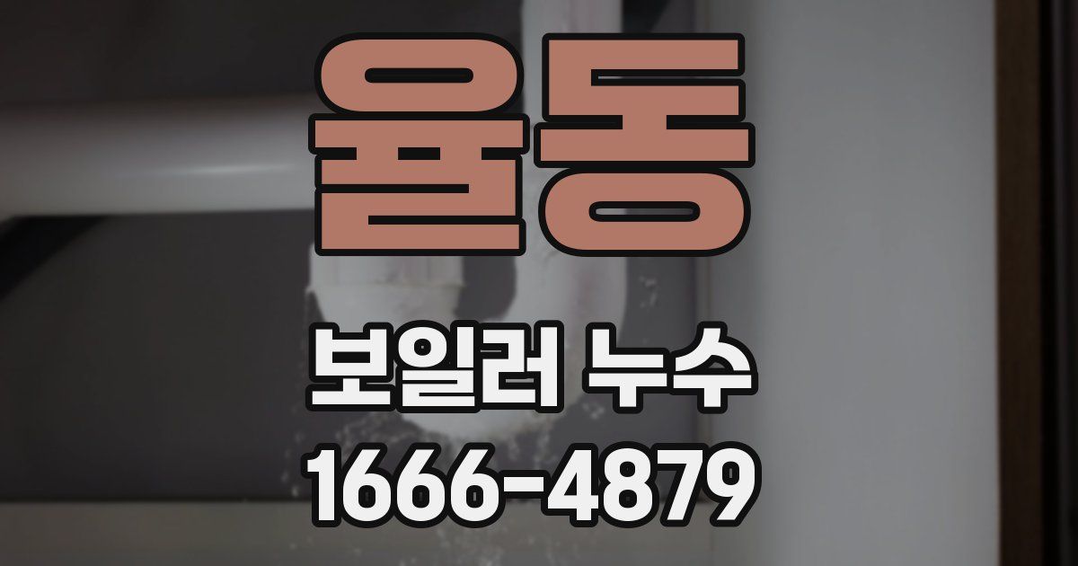 율동 보일러 누수