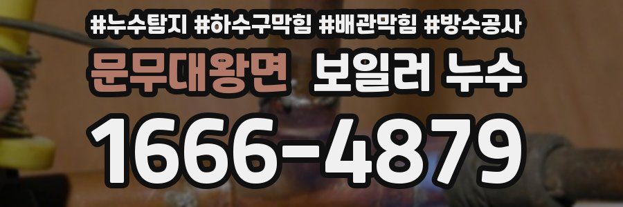 문무대왕면 보일러 누수