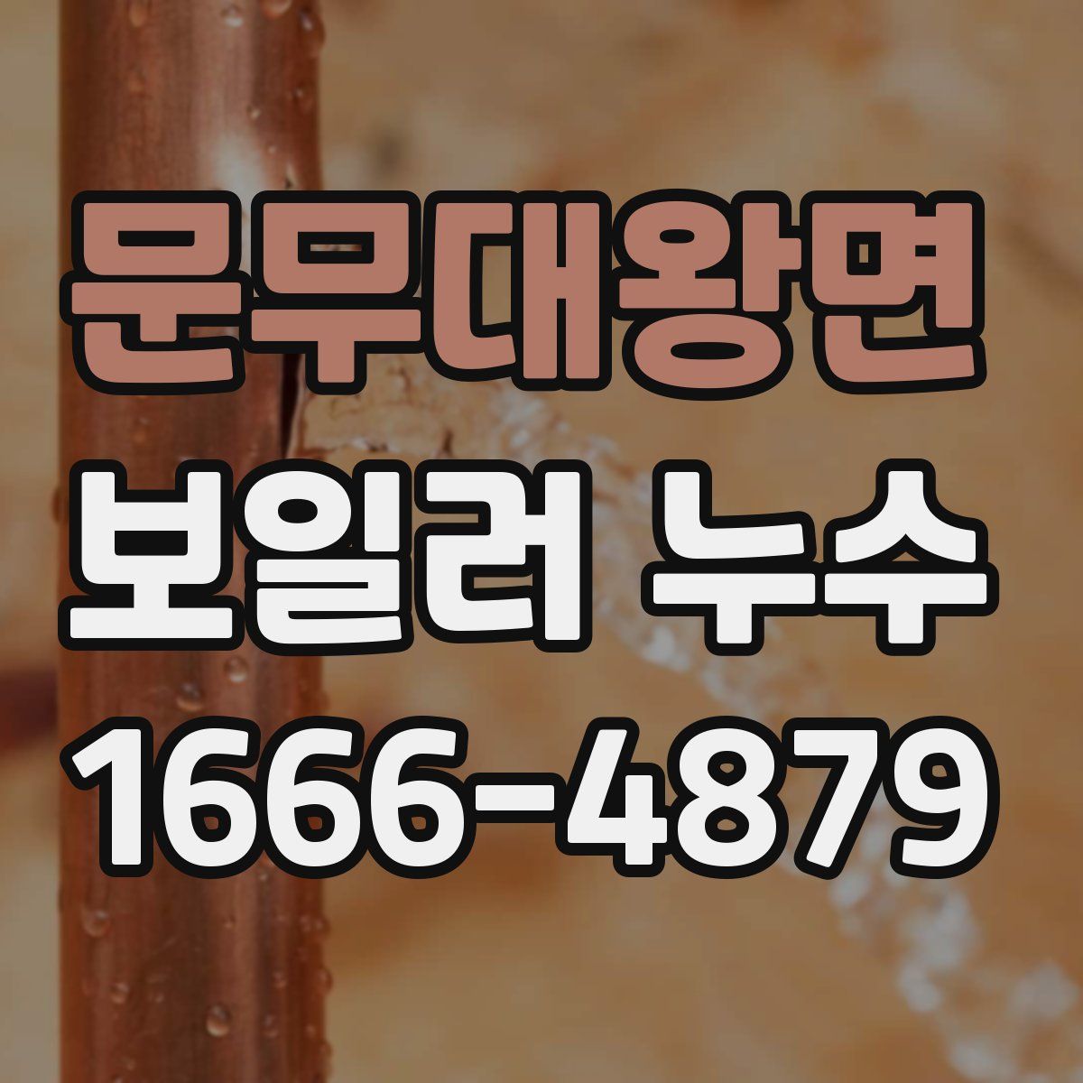 문무대왕면 보일러 누수