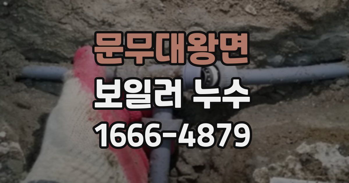 문무대왕면 보일러 누수