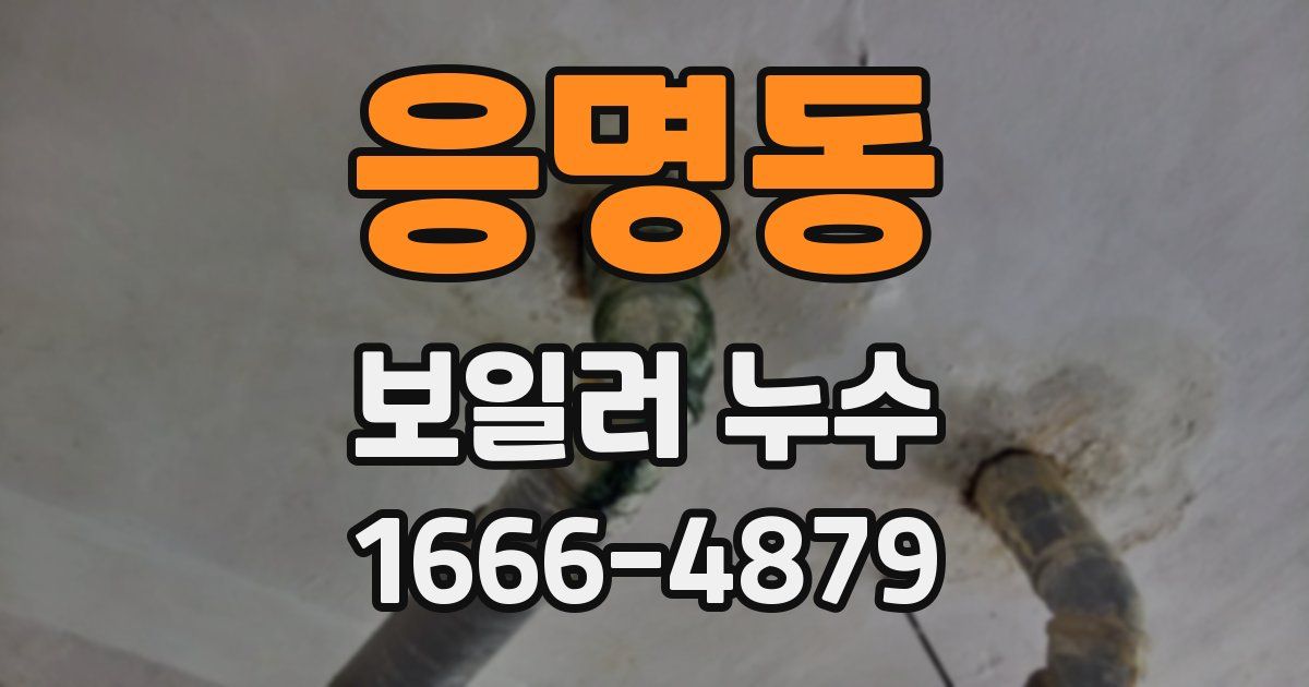 응명동 보일러 누수