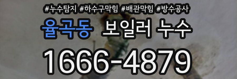 율곡동 보일러 누수
