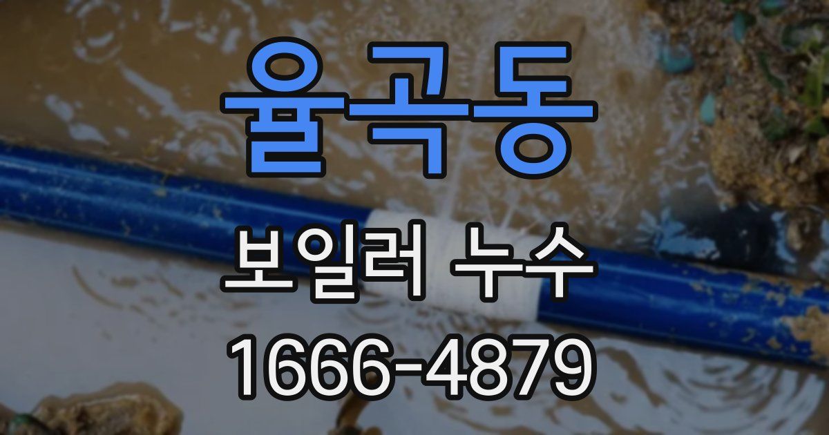 율곡동 보일러 누수