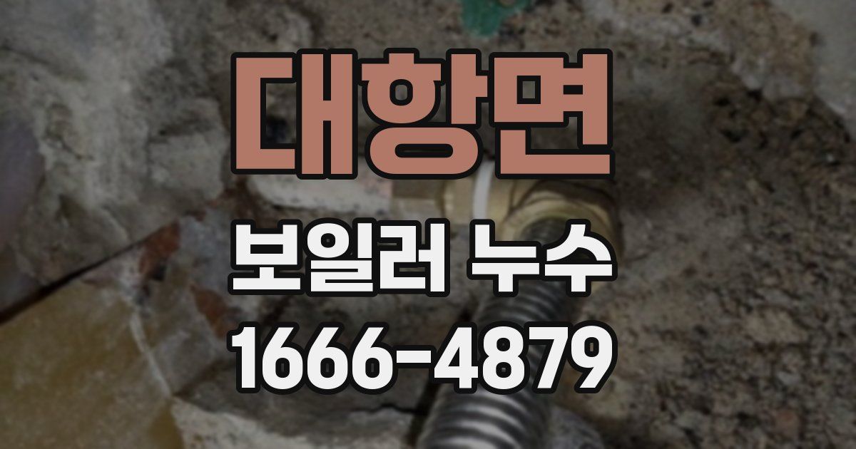 대항면 보일러 누수