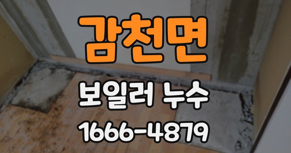 감천면 보일러 누수