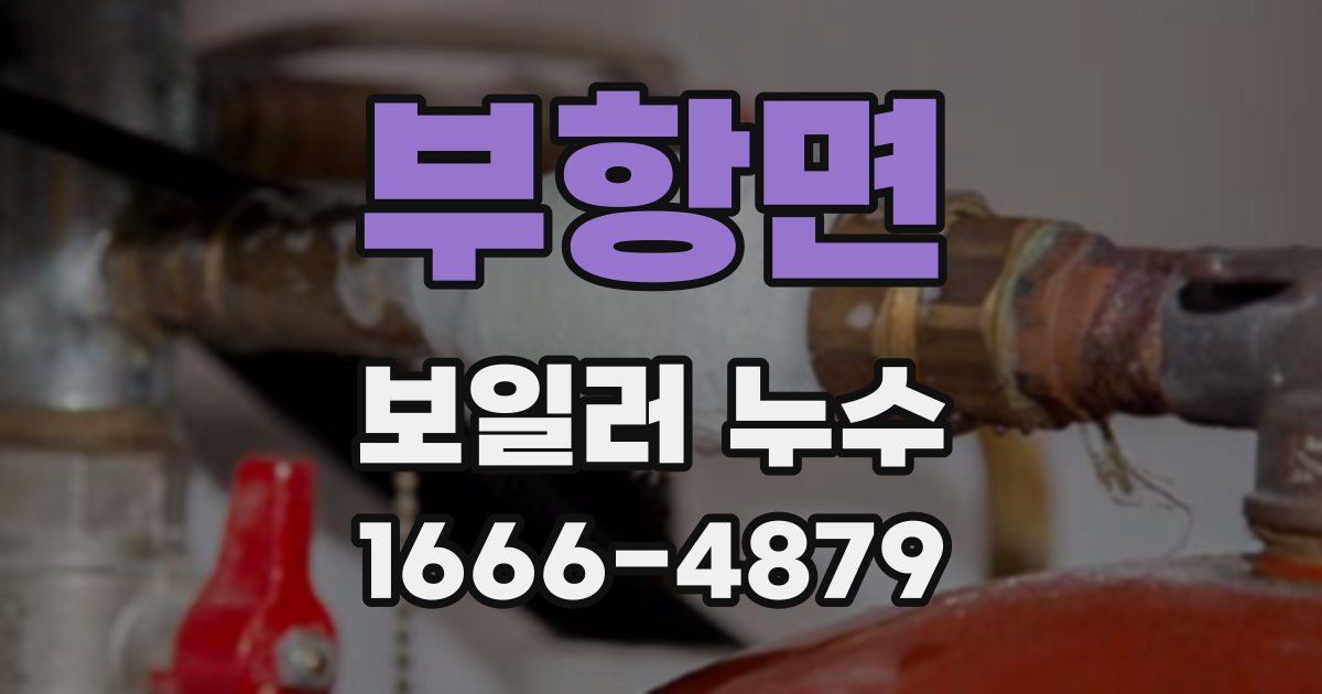 부항면 보일러 누수