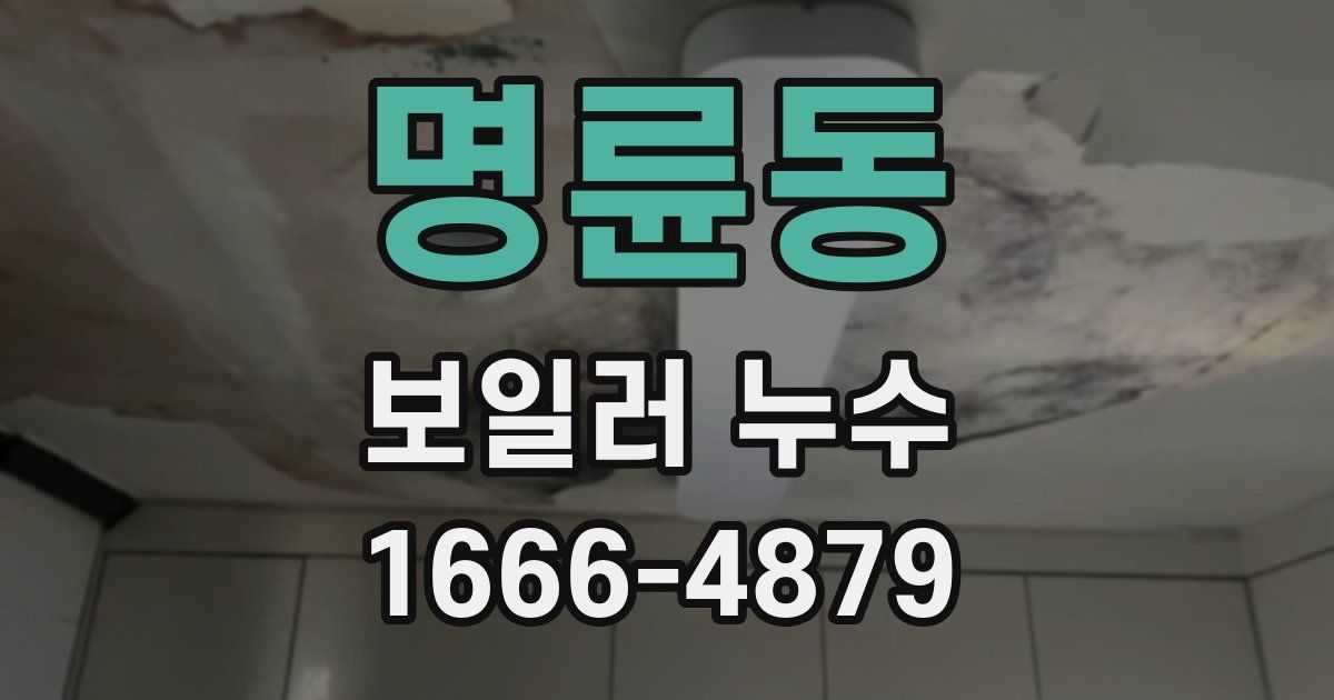 명륜동 보일러 누수