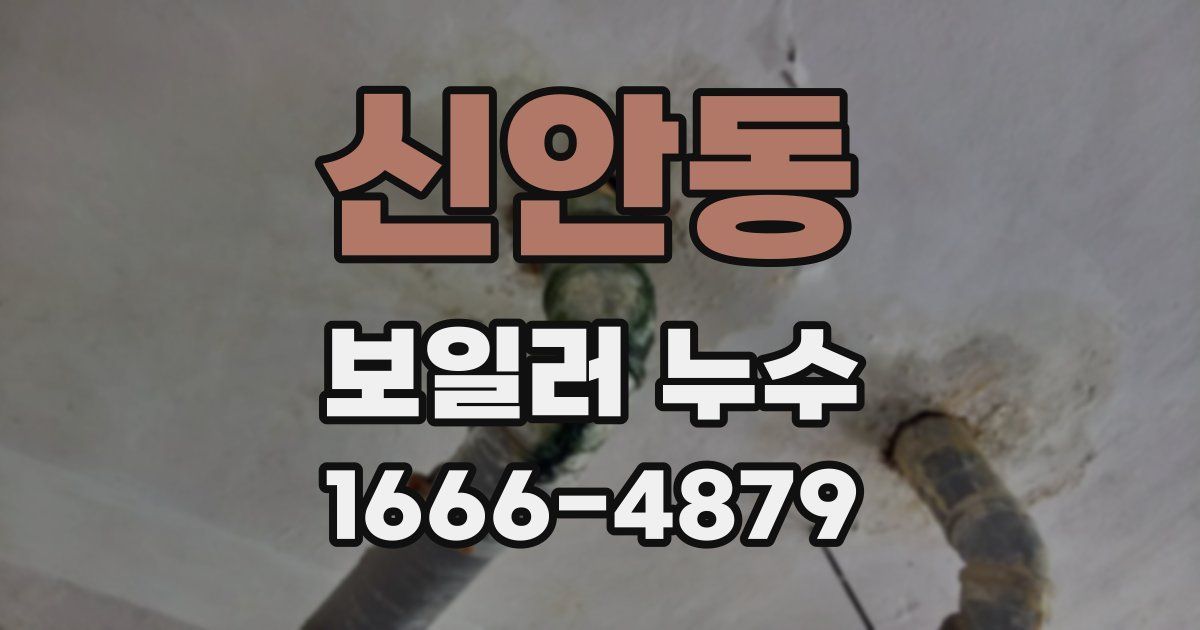 신안동 보일러 누수