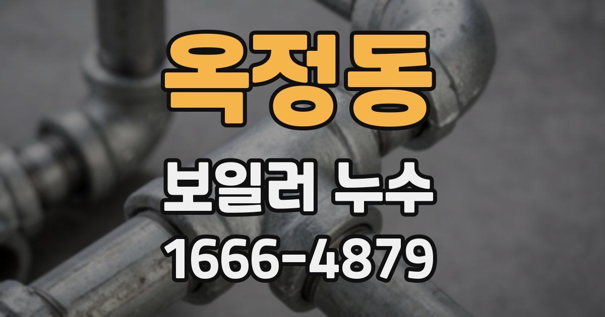옥정동 보일러 누수