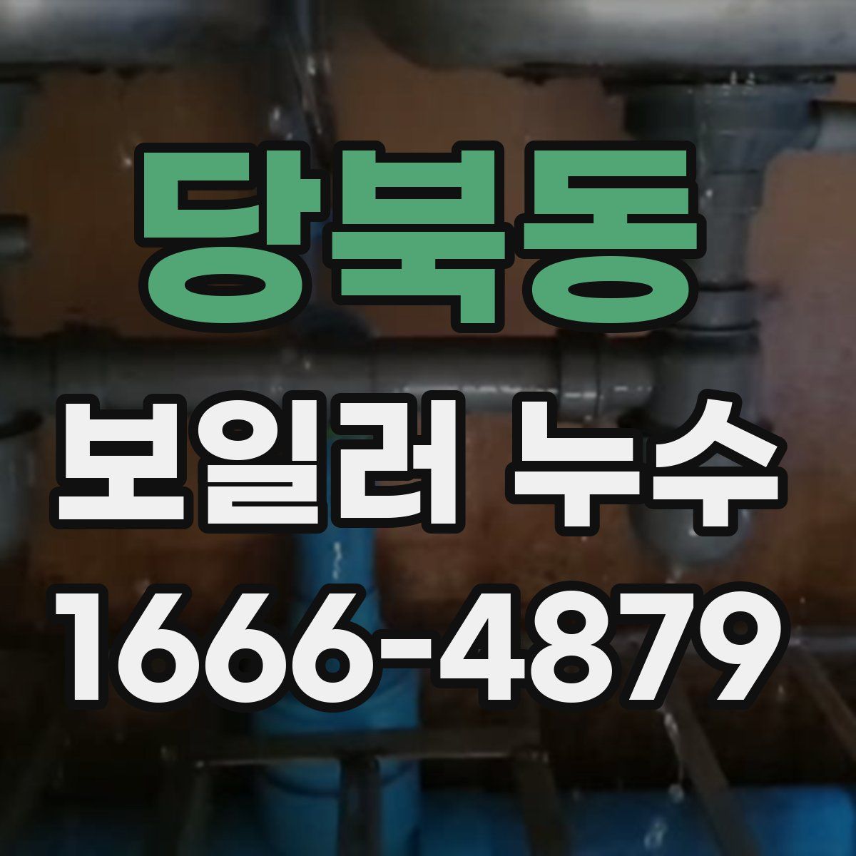 당북동 보일러 누수