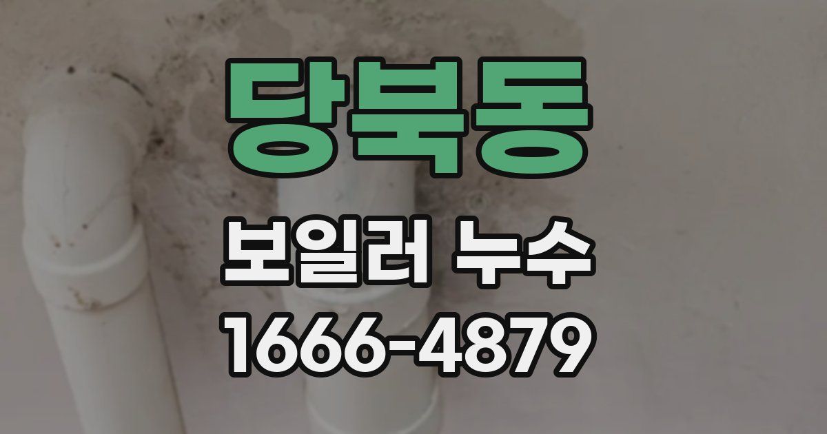 당북동 보일러 누수