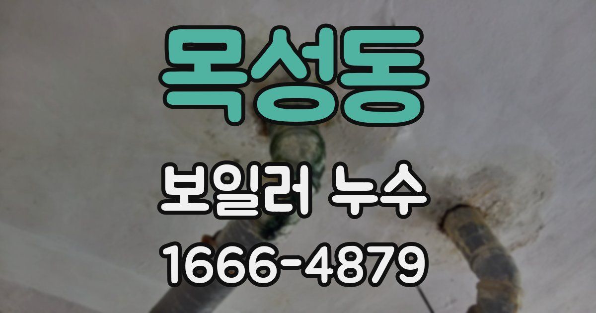 목성동 보일러 누수