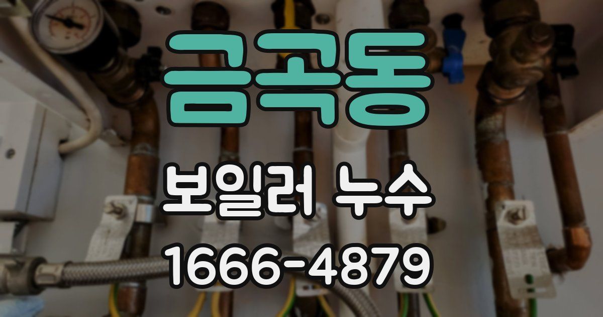 금곡동 보일러 누수