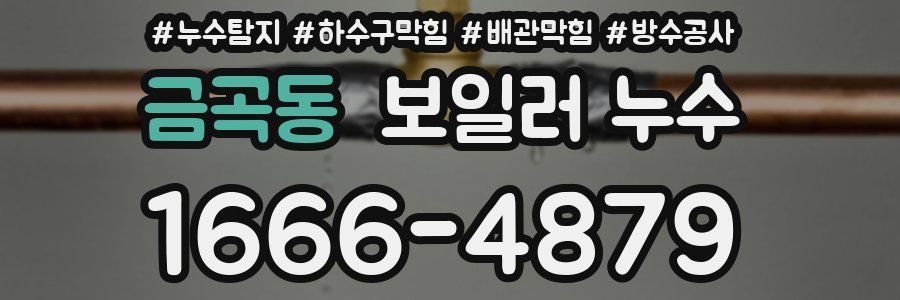 금곡동 보일러 누수