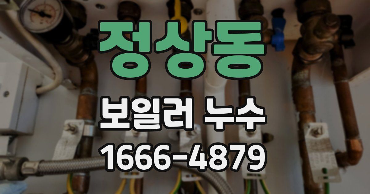 정상동 보일러 누수