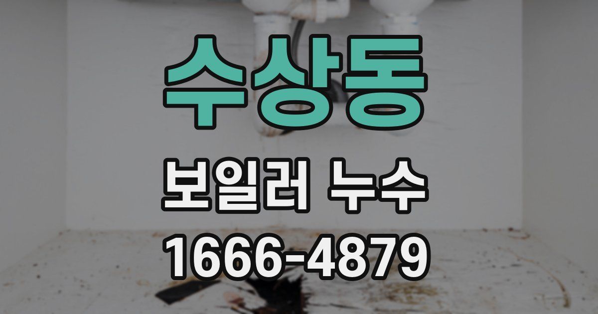 수상동 보일러 누수