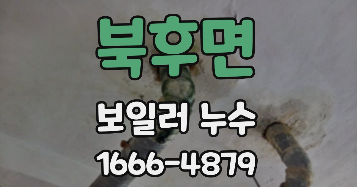 북후면 보일러 누수