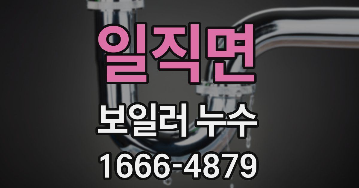 일직면 보일러 누수