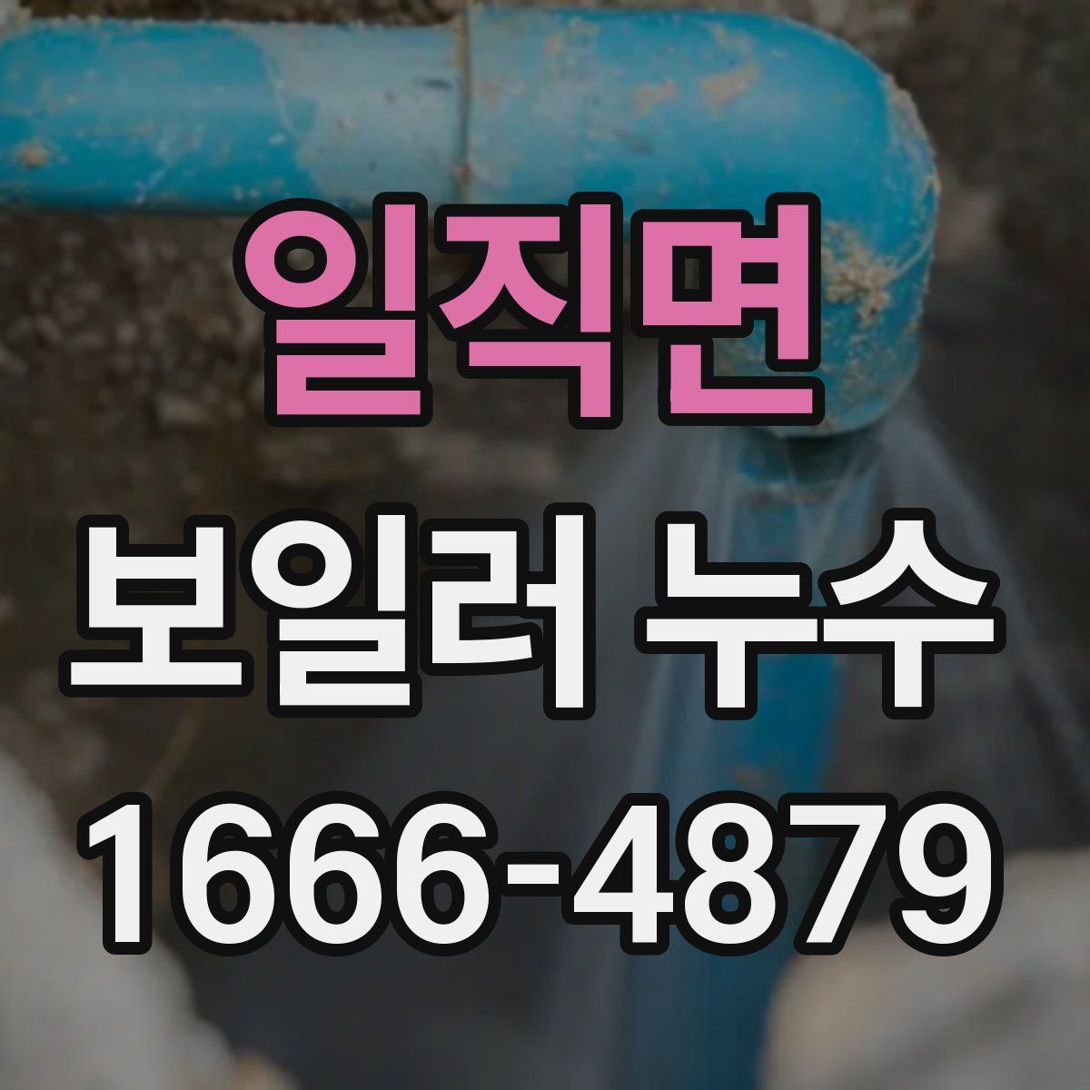 일직면 보일러 누수
