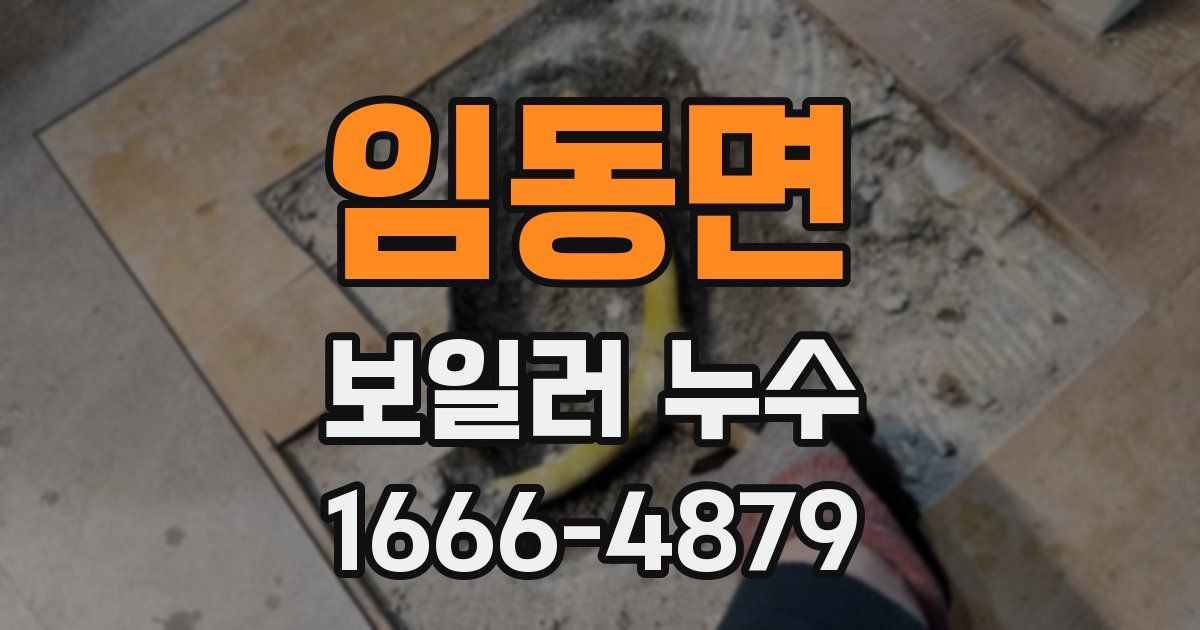 임동면 보일러 누수