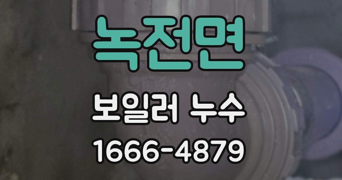 녹전면 보일러 누수