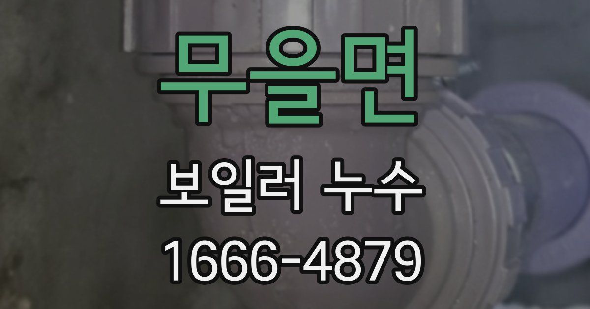 무을면 보일러 누수