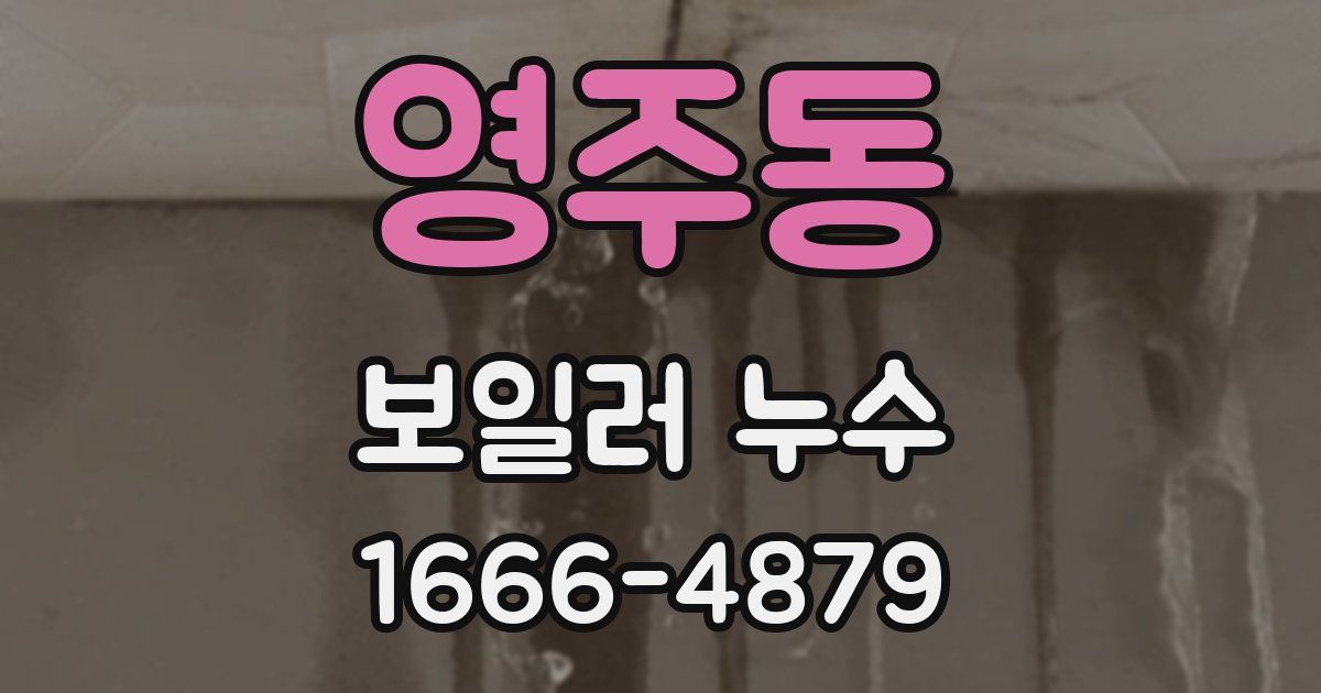 영주동 보일러 누수