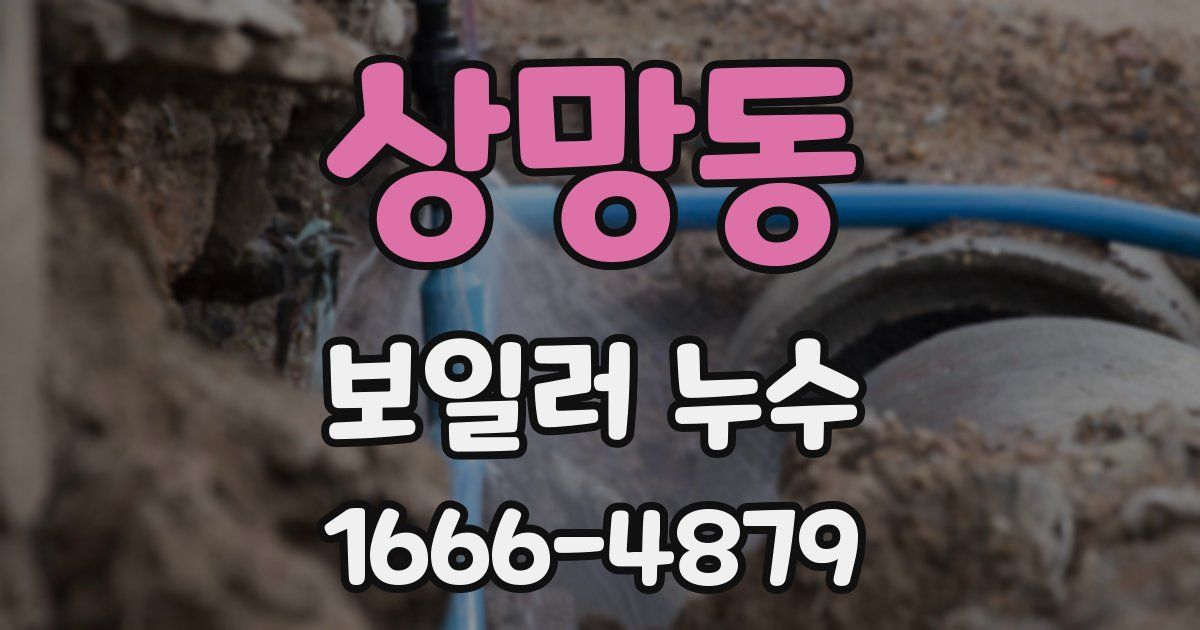 상망동 보일러 누수