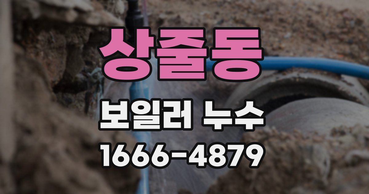 상줄동 보일러 누수