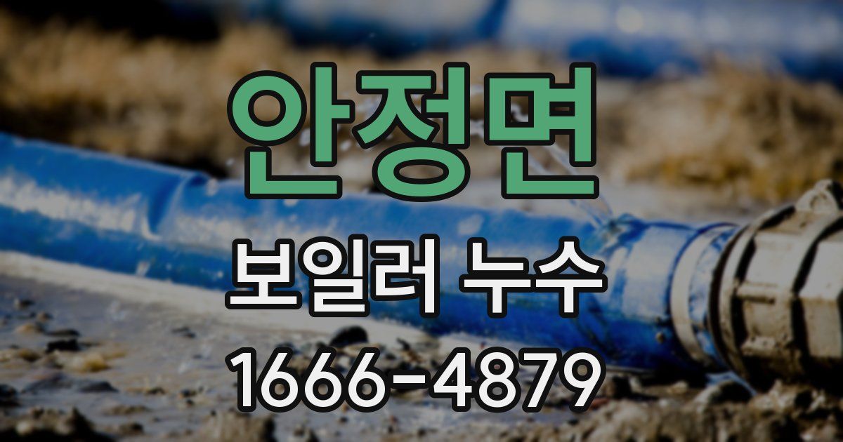 안정면 보일러 누수