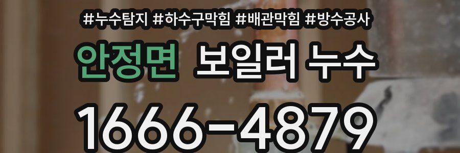 안정면 보일러 누수