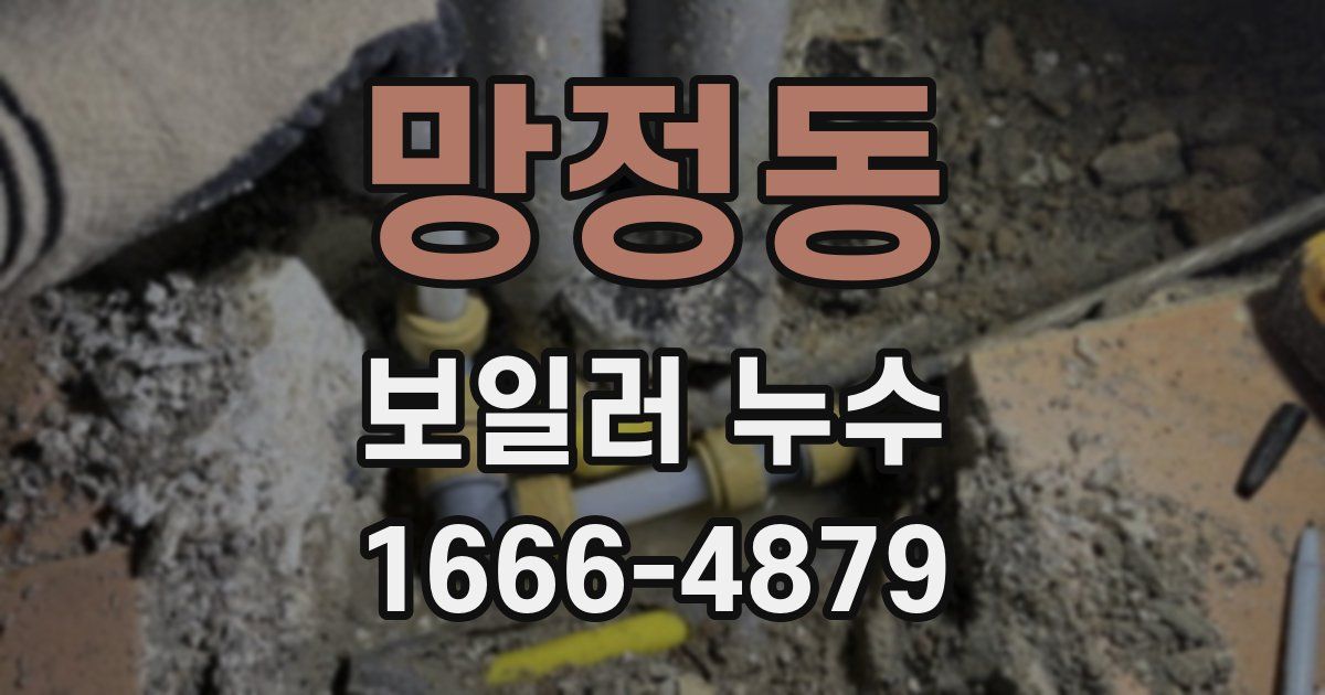 망정동 보일러 누수