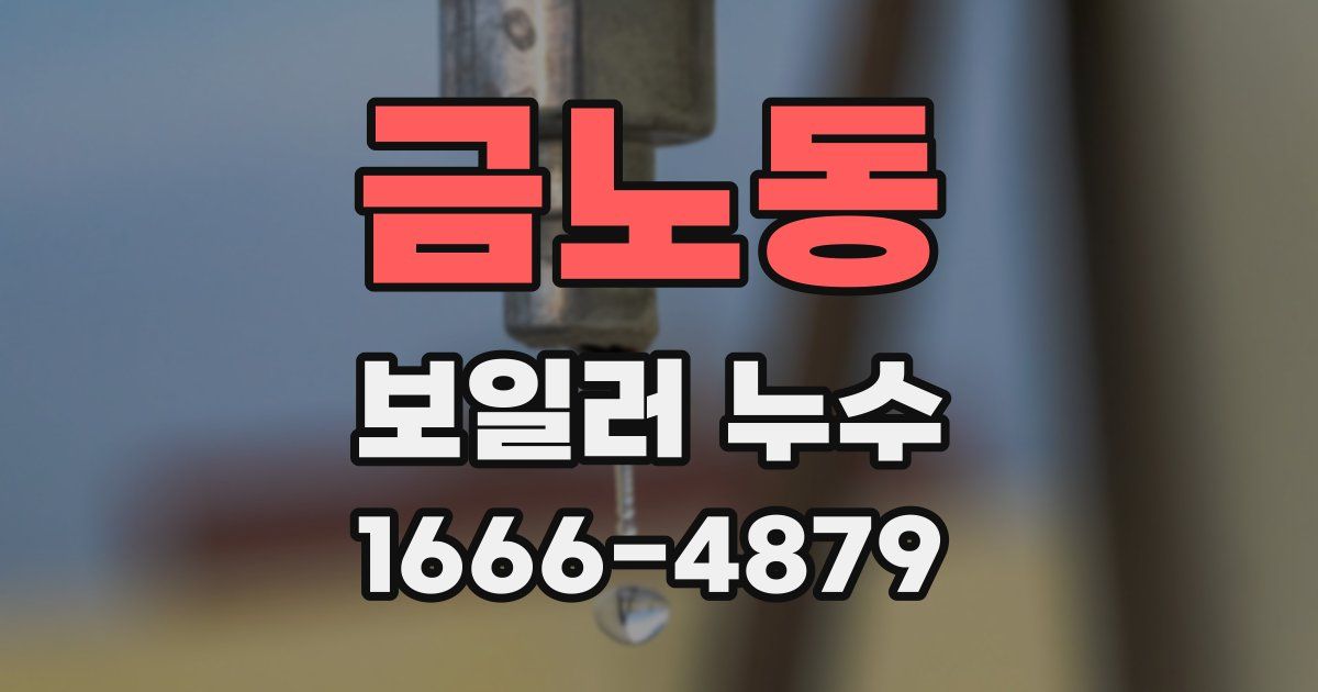 금노동 보일러 누수