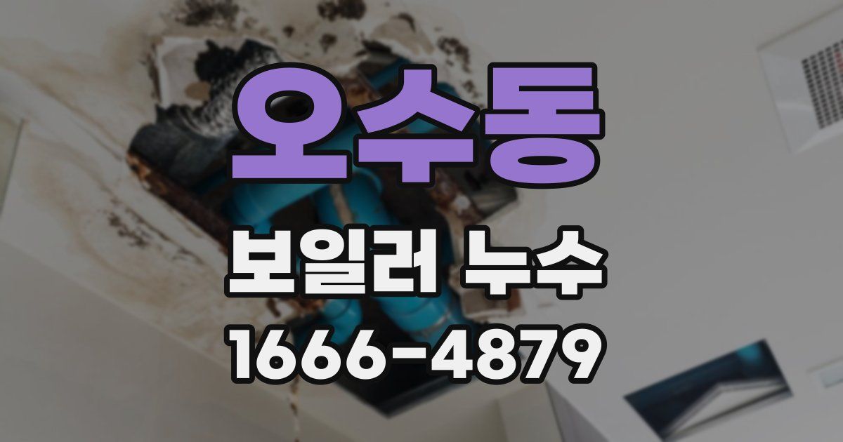 오수동 보일러 누수