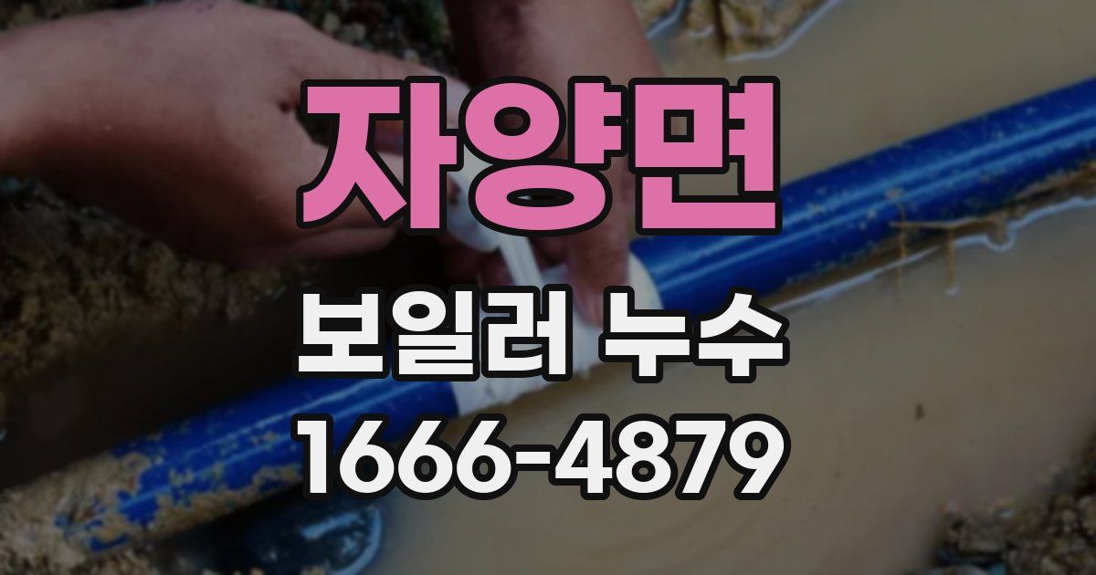 자양면 보일러 누수