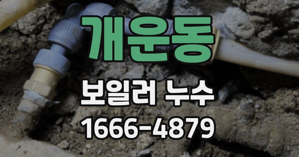 개운동 보일러 누수