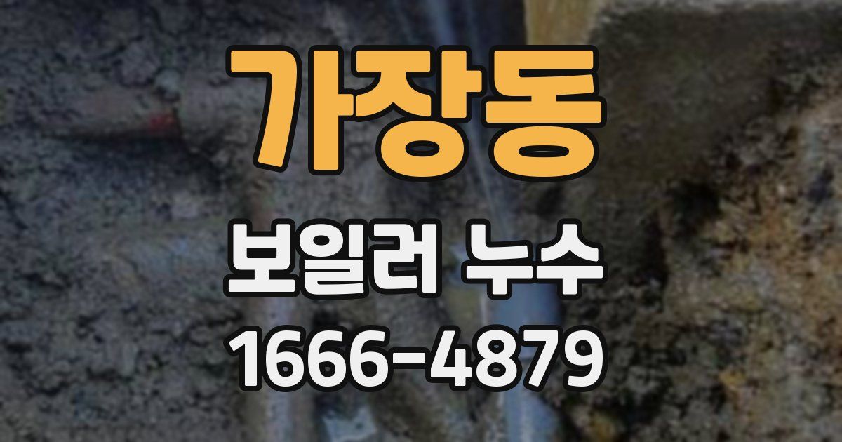 가장동 보일러 누수